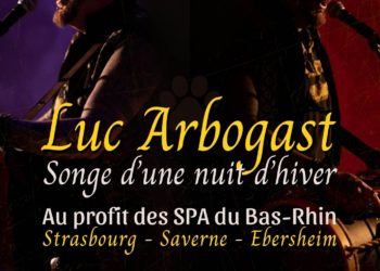 Luc Arbogast - Eglise Saint-Paul de Strasbourg - 08/11/2024